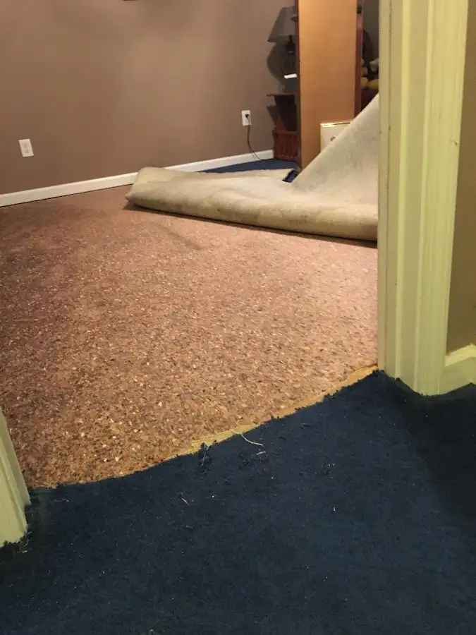 Carpet pad removal revealing water damage during Drying & Dehumidification in Rochester