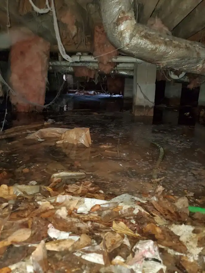 Crawl space flood assessment for Commercial Water Damage Restoration in Rochester