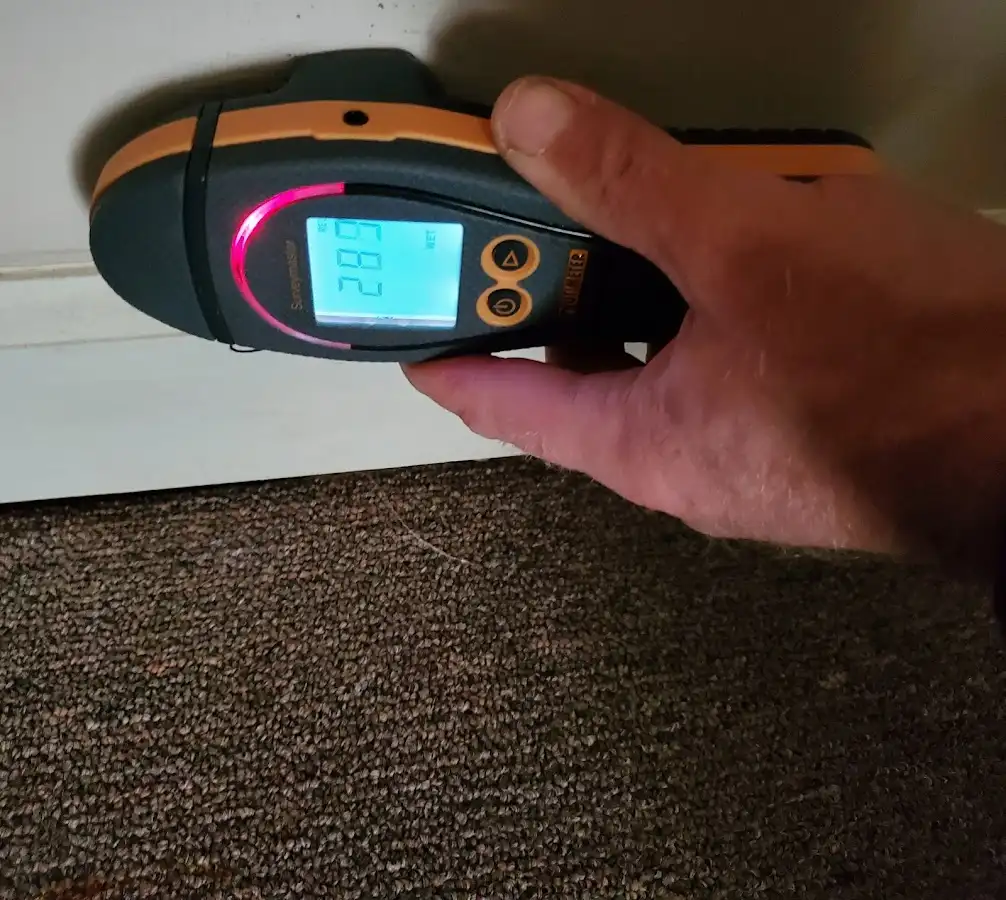 Moisture detection at baseboard during Mold Inspection & Testing in Rochester